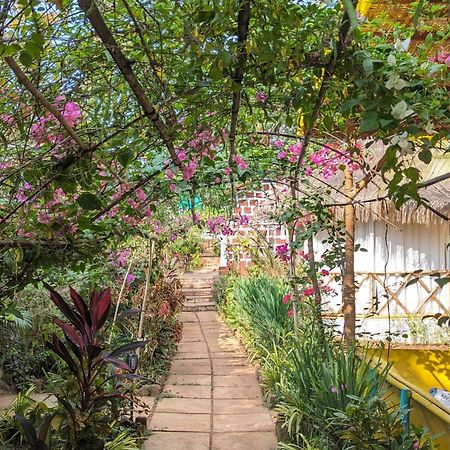 Hippie Paws Otel Mandrem Dış mekan fotoğraf