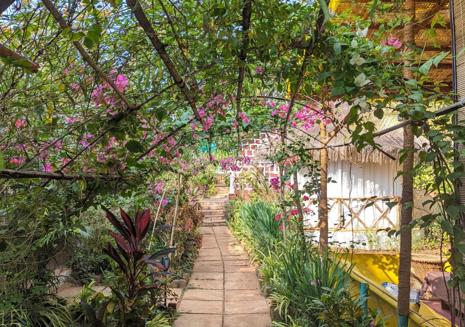 Hippie Paws Otel Mandrem Dış mekan fotoğraf