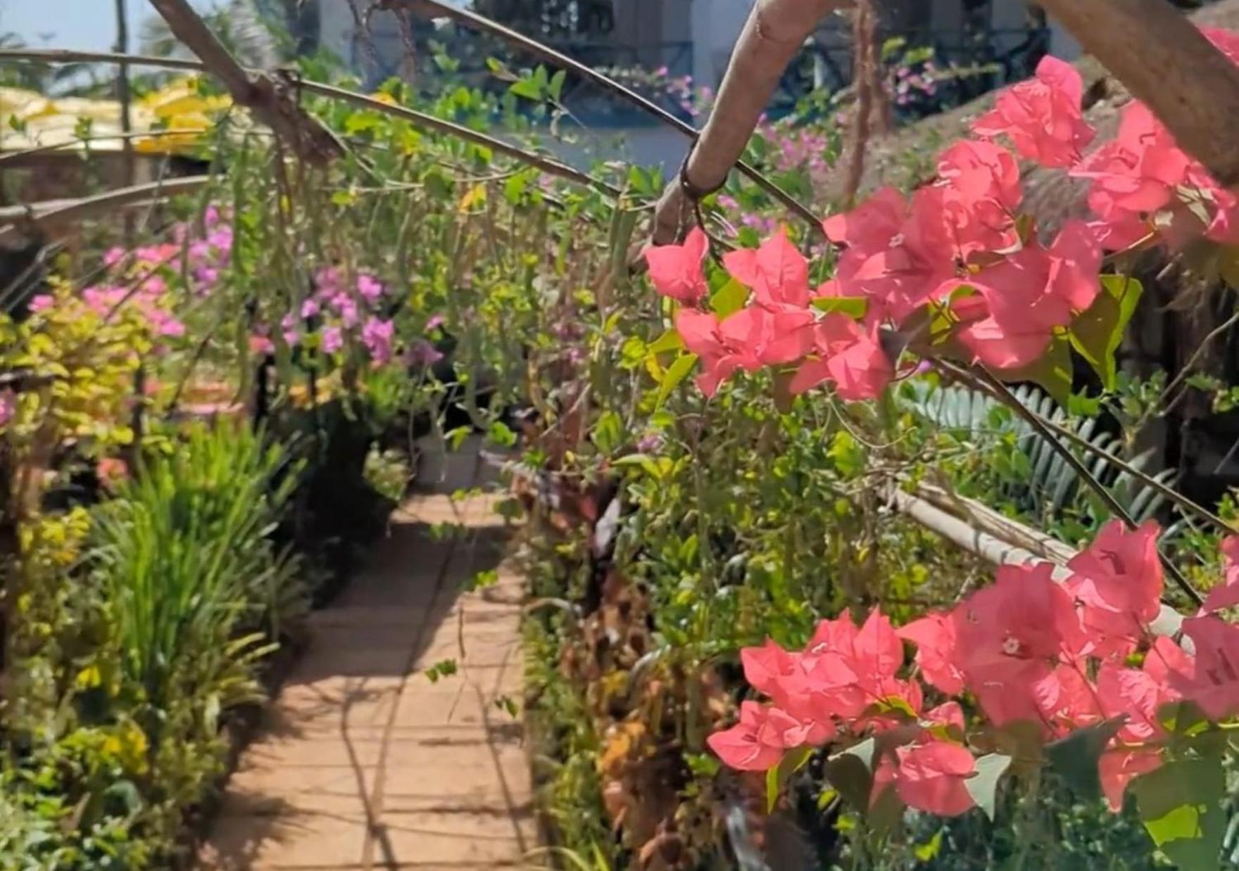 Hippie Paws Otel Mandrem Dış mekan fotoğraf